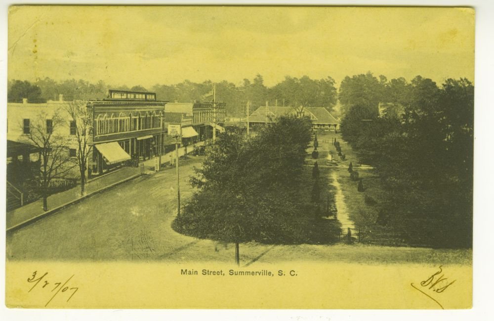 By March 1907: Postcard: the park in leaf